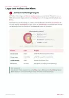 Vorschau - Arbeitsblätter - Die Niere – Lernheft Biologie Harnbildung - Seite 3