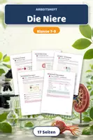 Vorschau - Arbeitsblätter - Die Niere – Lernheft Biologie Harnbildung - Deckblatt