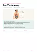 Vorschau - Arbeitsblätter - Die Verdauung – Biologie Lernheft Klasse 5-7 - Seite 1
