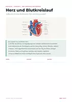 Vorschau - Arbeitsblätter - Herz und Blutkreislauf - Lernheft Biologie - Seite 1