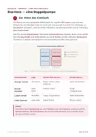 Vorschau - Arbeitsblätter - Herz und Blutkreislauf - Lernheft Biologie - Seite 2