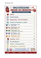 Vorschau - Stundenentwürfe - Organe des Menschen, Forschungsprojekt mit Plakatgestaltung - Seite 1