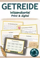 Vorschau - Text - Getreide – Wissenskartei Print & digital | Sachunterricht Klasse 3/4 - Deckblatt