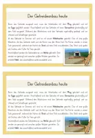 Vorschau - Text - Getreide – Wissenskartei Print & digital | Sachunterricht Klasse 3/4 - Seite 3