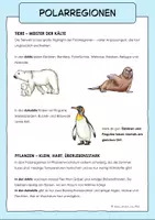 Vorschau - Arbeitsblätter - Arktis und Antarktis | Polargebiet - Seite 3