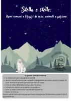 anteprima - Esercizi - Nomi comuni,propri di cose,animali, persone:Stella e stelle - Pagina di copertina