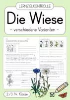Vorschau - Test - Wiese - Lernzielkontrolle / Test (2./3./4. Klasse) - Deckblatt