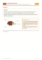 Vorschau - Arbeitsblätter - Lesedetektive: Der Igel – Grundschule, Deutsch, Leseförderung, Klasse 2–3 - Seite 2