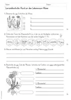 Vorschau - Test - Wiese - Lernzielkontrolle / Test (2./3./4. Klasse) - Seite 1