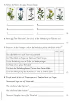Vorschau - Test - Wiese - Lernzielkontrolle / Test (2./3./4. Klasse) - Seite 2