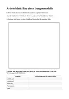 Vorschau - Arbeitsblätter - Bau Lungenmodell - Deckblatt