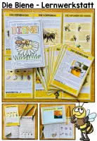 Vorschau - Arbeitsblätter - DIE BIENE - Materialpaket - Seite 2
