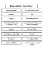Vorschau - Arbeitsblätter - Das Kaninchen: Komplettpaket - Seite 3