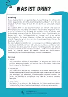 Vorschau - Arbeitsblätter - Sportbiologische Grundlagen ⎮ Bewegungsapparat - Materialpaket für Klasse 10 bis 13 - Seite 2