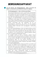 Vorschau - Arbeitsblätter - Sportbiologische Grundlagen ⎮ Bewegungsapparat - Materialpaket für Klasse 10 bis 13 - Seite 3