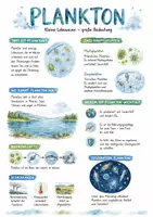 Vorschau - Arbeitsblätter - Lernposter + Arbeitsblätter zum Thema "Plankton" + Lösung & MP3 + Mindmap + Infografik - Deckblatt