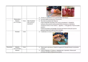 anteprima - Programmi scolastici / Materiali per docenti - Programmazione annuale Educazione civica cl. Terza - Pagina 2