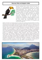 Vorschau - Arbeitsblätter - Brasilien Unterrichtsmaterial: Amazonas, Bevölkerung & Geschichte - Seite 2