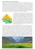Vorschau - Arbeitsblätter - Peru Unterrichtsmaterial: Anden, Inka, Machu Picchu - Seite 2