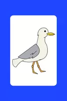 Vorschau - Präsentationen/Tafelbilder - Möwenklasse Gruppeneinteilung Gruppen Grundschule - Seite 3