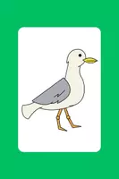 Vorschau - Präsentationen/Tafelbilder - Möwenklasse Gruppeneinteilung Gruppen Grundschule - Seite 1
