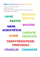 anteprima - Esercizi - DAL CACAO AL CIOCCOLATO - LEGGENDA, RACCOLTA, LAVORAZIONE - Pagina 2