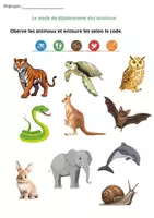 Aperçu - Feuilles d'exercices - Déplacement animaux - Page de couverture