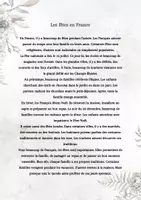 Vorschau - Unterrichtsreihen - Leseverstehen Französisch Klasse 9 - Seite 2