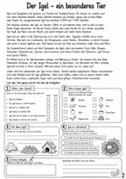 Vorschau - Arbeitsblätter - Freebie Der Igel - Kostenlose Arbeitsblätter Forscherheft - Seite 2