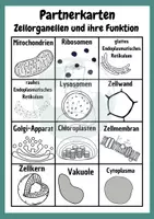 Vorschau - Spiele - Zellorganellen Partnerkarten aus der Griffelkiste - Deckblatt