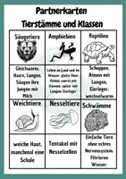 Vorschau - Spiele - Tierstämme Partnerkarten aus der Griffelkiste - Deckblatt