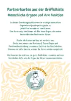 Vorschau - Spiele - Organe des Menschen Partnerkarten aus der Griffelkiste - Seite 1