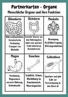 Vorschau - Spiele - Organe des Menschen Partnerkarten aus der Griffelkiste - Deckblatt