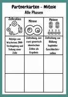Vorschau - Spiele - Mitose Partnerkarten aus der Griffelkiste - Seite 2