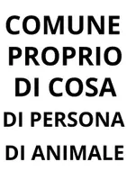 anteprima - Materiale di supporto/inclusione - Analisi grammaticale del nome a salti - Pagina 2