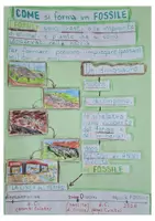 anteprima - Materiale di supporto/inclusione - Storia 3 primaria, lezioni e quaderno _20260725_094732_0000 - Pagina 3