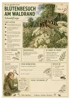 Vorschau - Arbeitsblätter - Hainschwebfliege – kostenloses Materialpaket für Sachunterricht & Naturbildung | Bella Wildherz - Seite 3