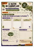 Aperçu - Feuilles d'exercices - Séquence 2 Arts Plastiques 5eme - Maître du camouflage - Page 3