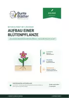 Vorschau - Stundenentwürfe - Biologie: Aufbau einer Blütenpflanze - Klasse 5/6 - Deckblatt