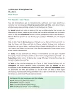 Vorschau - Stundenentwürfe - Biologie: Aufbau einer Blütenpflanze - Klasse 5/6 - Seite 2