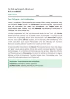 Vorschau - Stundenentwürfe - Biologie: Die Zelle - Vergleich Tier/ Pflanze - Klasse 5/6 - Seite 2