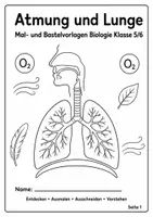 Vorschau - Mal- und Bastelvorlagen - Atmung und Lunge – Mal- und Bastelvorlagen - Seite 1