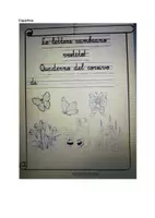 anteprima - Piani di lezione - Quaderno n° 9 di ITALIANO CLASSE PRIMA_ Il corsivo - Pagina 3