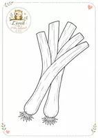 Aperçu - Affichage - Activités autour du poireau - Page 3