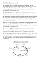 Vorschau - Stundenentwürfe - Die Libelle: fertige Stunde (Ablauf und Material) - Seite 3