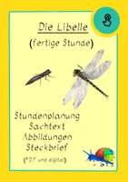 Vorschau - Stundenentwürfe - Die Libelle: fertige Stunde (Ablauf und Material) - Deckblatt