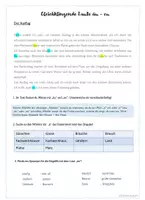 Vorschau - Arbeitsblätter - Gleichklingende Laute äu_eu - Seite 3