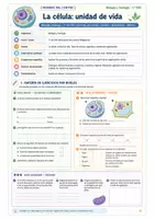Vista previa - Refuerzo / NEE / Materiales de apoyo - Fichas célula adaptación - página 2