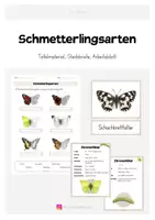 Vorschau - Arbeitsblätter - Schmetterlingsarten | Tafelmaterial, Steckbriefe & Arbeitsblatt - Deckblatt