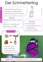 Vorschau - Arbeitsblätter - Schmetterlinge Minipaket - Seite 1
